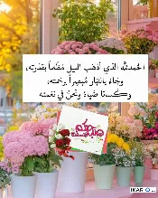 أرض للبيع في ابوغريب - 200 م² / 200,000,000 IQD — صورة 3