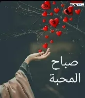 محل للبيع في الشيخ عمر - 3066 م² / 7,665,000,000 IQD — صورة 3