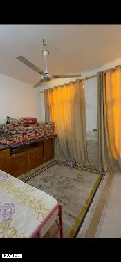 دار للإيجار في كربلاء - 50 م² / 250,000 IQD — صورة 3