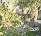 دار للبيع في كربلاء - 300 م² / 650,000,000 IQD — صورة 2