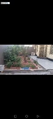 دار للبيع في حي بغداد - 315 م² / 355,000,000 IQD — صورة 4