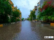 أرض للبيع في ياسين خريبط - 250 م² / 600,000,000 IQD — صورة 4
