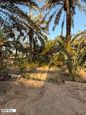 أرض للبيع في ابي الخصيب - 2450 م² / 1,500,000 IQD — صورة 3