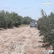 مزرعة للبيع في الضلوعية - 1 م² / 300,000,000 IQD — صورة 4