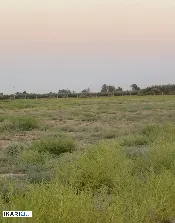 أرض للبيع في بغداد - 22000000 م² / 195,000,000 IQD — صورة 4