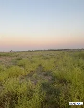 أرض للبيع في بغداد - 22000000 م² / 195,000,000 IQD — صورة 2
