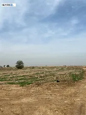 أرض للبيع في بوب الشام - 212500 م² / 60,000,000 IQD — صورة 2