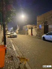 دار للبيع في المعقل - 250 م² / 312,000,000 IQD — صورة 2