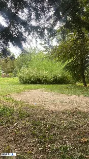 أرض للإيجار في التنومة - 5000 م² / 1,000,000 IQD — صورة 2