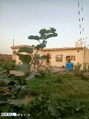 دار للبيع في الزبير - 700 م² / 35,000,000 IQD — صورة 3