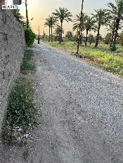 أرض للبيع في الدورة - 600 م² / 100,000,000 IQD — صورة 3