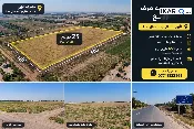 أرض للبيع في الطارمية - 62500 م² / 650,000,000 IQD — صورة 2