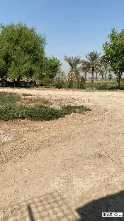 أرض للبيع في اليوسفية - 15000 م² / 350,000,000 IQD — صورة 4