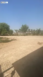 أرض للبيع في اليوسفية - 15000 م² / 350,000,000 IQD — صورة 2