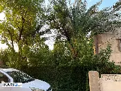 دار للبيع في بغداد الجديدة - 138 م² / 380,000,000 IQD — صورة 2