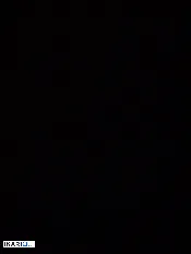 محل للبيع في السيدية - 74000 م² / 335,000,000 IQD — صورة 3