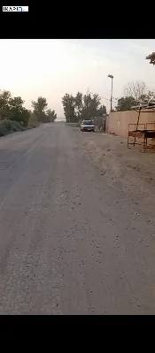 أرض للبيع في قضاء شط العرب - 225 م² / 55,000,000 IQD — صورة 3