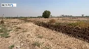 أرض للبيع في ابوغريب - 2500 م² / 400,000,000 IQD — صورة 4