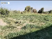 دار للبيع في العزيزية - 250 م² / 150,000,000 IQD — صورة 4