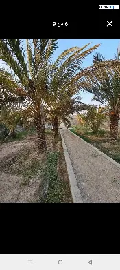 أرض للبيع في ابي الخصيب - 1070 م² / 2,900,000 IQD — صورة 4