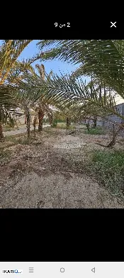 أرض للبيع في ابي الخصيب - 1070 م² / 2,900,000 IQD — صورة 2