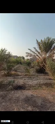 مزرعة للبيع في الحوطة - 3000 م² / 150,000,000 IQD — صورة 3