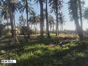 أرض للبيع في ابوغريب - 2500 م² / 100,000,000 IQD — صورة 4