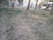 أرض للبيع في ابي الخصيب - 5700 م² / 76,700,777 IQD — صورة 2