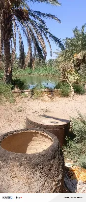 مزرعة للبيع في البصرة - 165 م² / 650,000,000 IQD — صورة 4