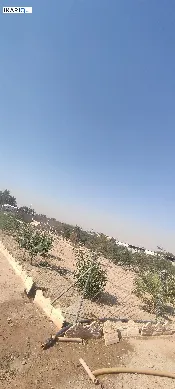 أرض للبيع في الزبير - 5000 م² / 130,000,000 IQD — صورة 4