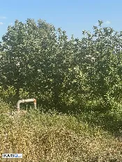 أرض للبيع في بيجي - 10000 م² / 150,000,000 IQD — صورة 2
