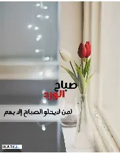 شقة للإيجار في المشراق الجديد - 145 م² / 1,000,000 IQD — صورة 2