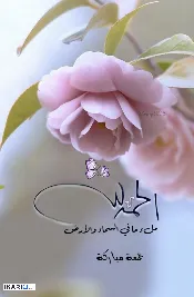شقة للإيجار في المشراق الجديد - 145 م² / 1,000,000 IQD — صورة 3