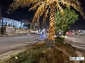 فيلا للإيجار في الجنينة - 320 م² / 3,500 IQD — صورة 3
