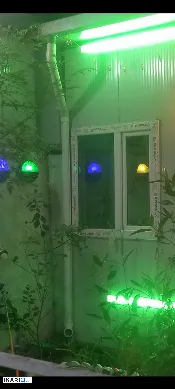 دار للبيع في الشعب - 300 م² / 600,000,000 IQD — صورة 4