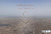 أرض للبيع في قضاء شط العرب - 250 م² / 55,000,000 IQD — صورة 2