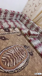 دار للبيع في الاصمعي - 125 م² / 290,000,000 IQD — صورة 3