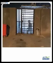 دار للبيع في القبلة - 150 م² / 145,000,000 IQD — صورة 2