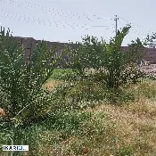 دار للبيع في ابي الخصيب - 400 م² / 300,000,000 IQD — صورة 4