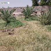 دار للبيع في ابي الخصيب - 400 م² / 300,000,000 IQD — صورة 2