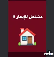 دار للإيجار في الزبير - 75 م² / 400,000 IQD — صورة 3