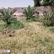 دار للبيع في ابي الخصيب - 400 م² / 300,000,000 IQD — صورة 2