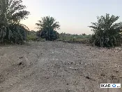 أرض للبيع في كربلاء - 100 م² / 36,000,000 IQD — صورة 2