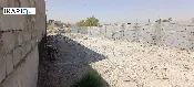 أرض للبيع في ابي الخصيب - 500 م² / 80,000,000 IQD — صورة 2