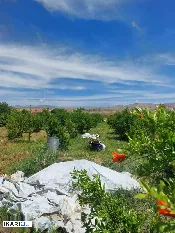 أرض للبيع في أربيل - 3840 م² / 40,000,000 IQD — صورة 4