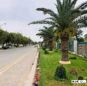 دار للإيجار في زيونة - 200 م² / 4,350,000 IQD — صورة 3