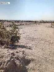 أرض للبيع في الزبير - 2000 م² / 70,000,000 IQD — صورة 2