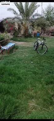 محل للبيع في الهارثة - 600 م² / 300,000,000 IQD — صورة 2