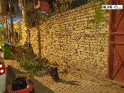 دار للبيع في ياسين خريبط - 120 م² / 200,000,000 IQD — صورة 3