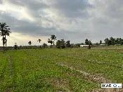 أرض للبيع في الهاشمية - 55 م² / 10,000,000 IQD — صورة 2